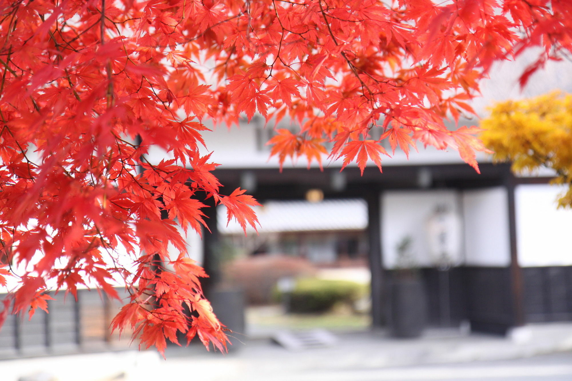 Hotel Suwakonomori Shikitei à Suwa  Extérieur photo